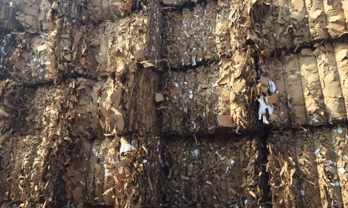 download shredded cardboard