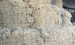 Plastic LDPE clear