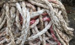 Plastic pp rope