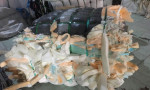 Plastic pu