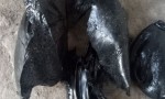 Plastic PET