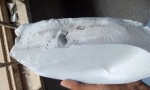 Plastic PET