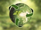 Green Insurance Group